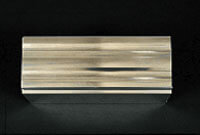 Polished Silver
